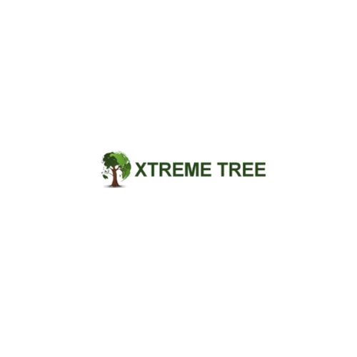 Xtreme Tree